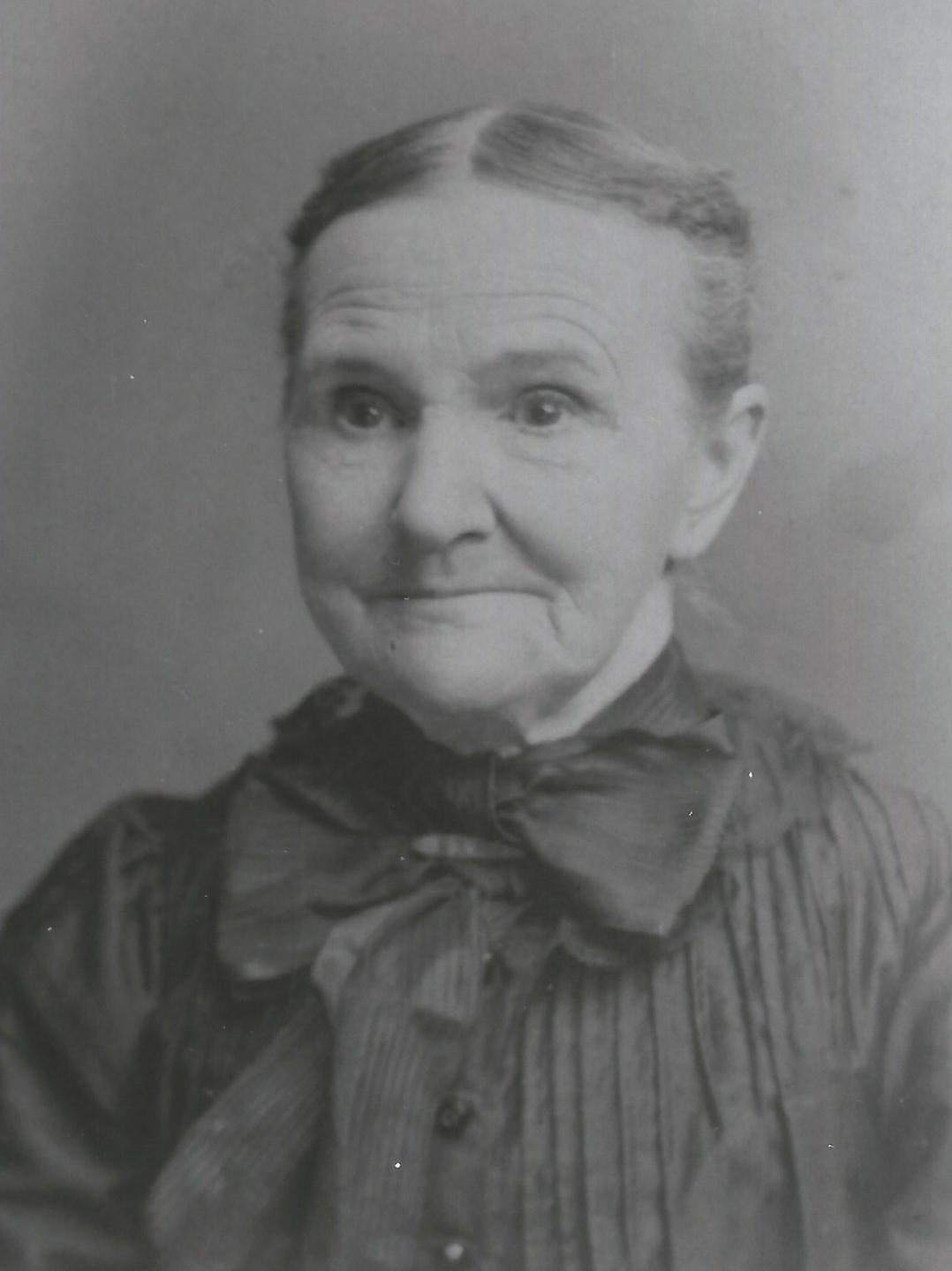 Susan Field (1832 - 1914) Profile